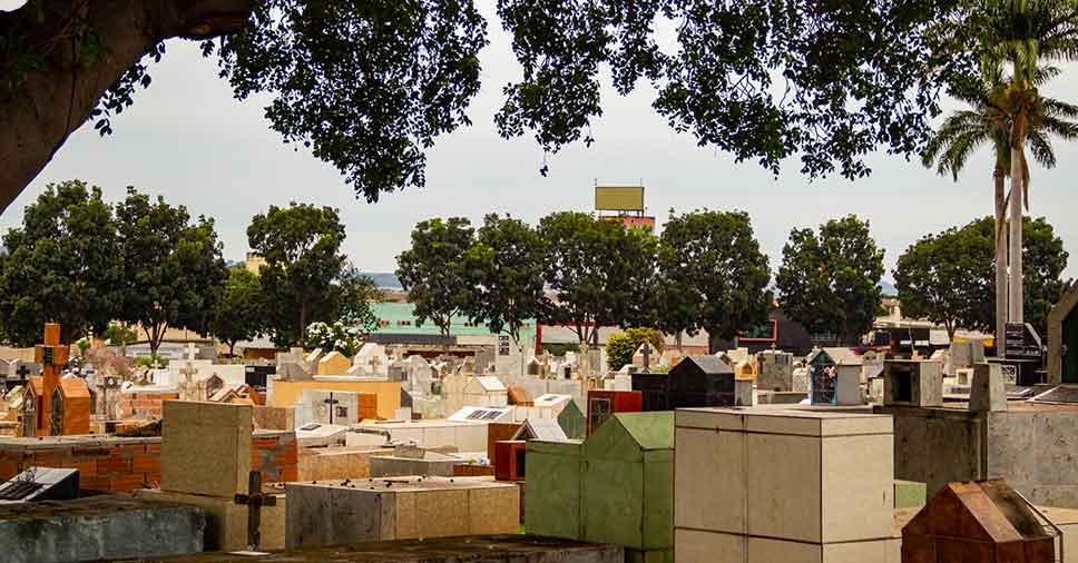 Superlotação de cemitérios: veja 3 alternativas para esse problema