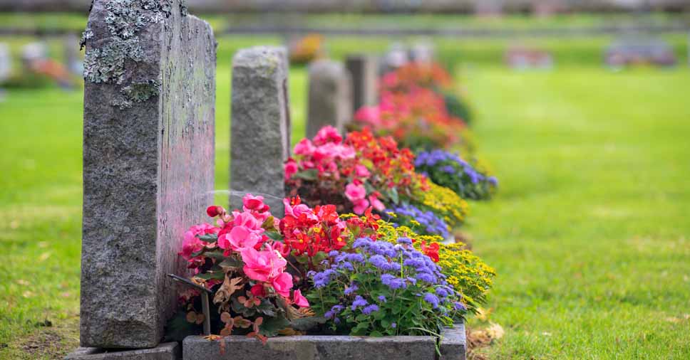 Flores para funeral: quais as melhores opções?