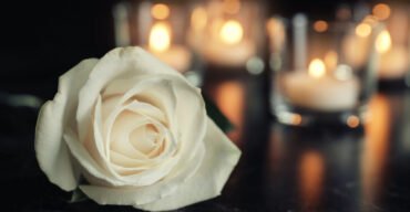 Rosa branca e ao fundo velas desfocadas