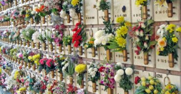 Vários ossários no cemitério dispostos com flores ao redor.