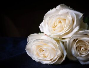 Saiba mais sobre o processo de embalsamamento! Rosas e funeral. Entenda como funciona o processo de embalsamamento.