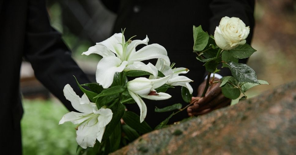 Enterro ecológico: o que é e como tornar a despedida mais sustentável