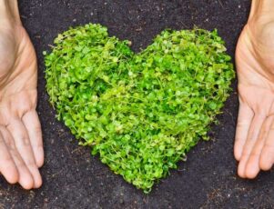 Tipos de caixões sustentáveis: saiba mais! Sustentabilidade aplicada aos tipos de caixões sustentáveis e práticas funerárias verdes